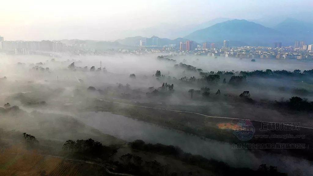 单色釉瓷器雅集鉴赏(三)