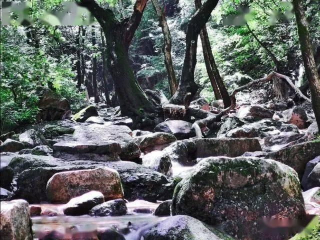 建议｜降低冰雪运动成本